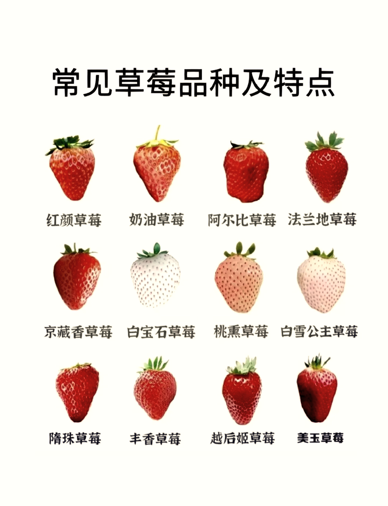 在众多行业中,服务行业因其独特性而备受关注。今天我们就来探索一下哪些领域最适合投身于服务业。