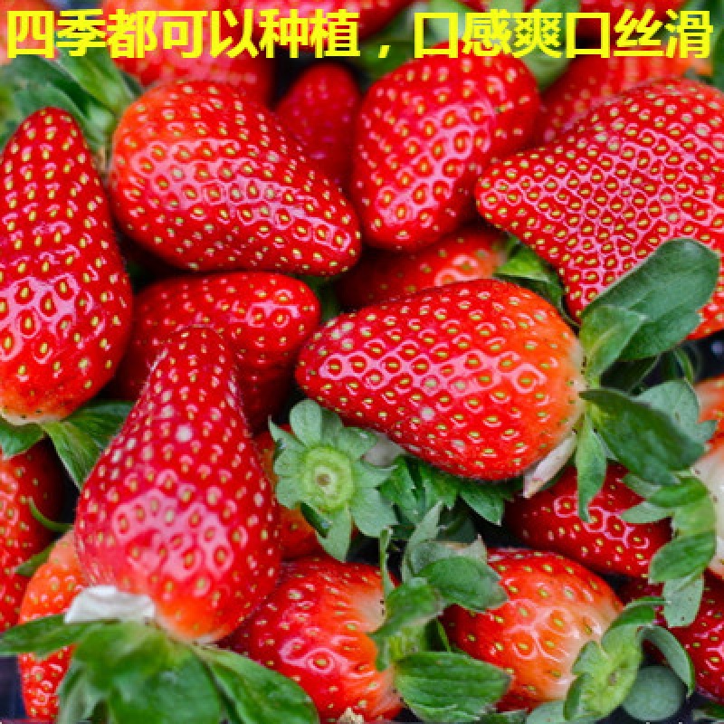 服务行业中,哪些职业最具发展潜力?